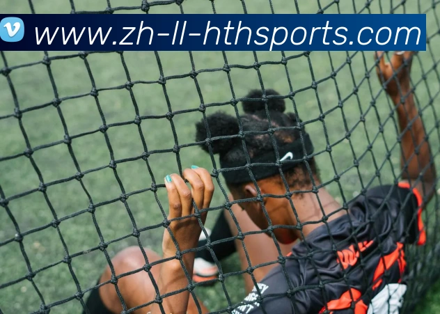 华体会登录入口平台生态图